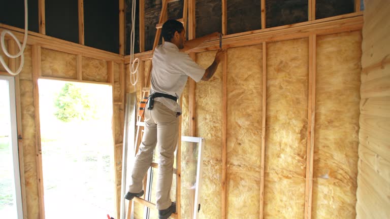 Best Blown-In Insulation  in Harriman, TN